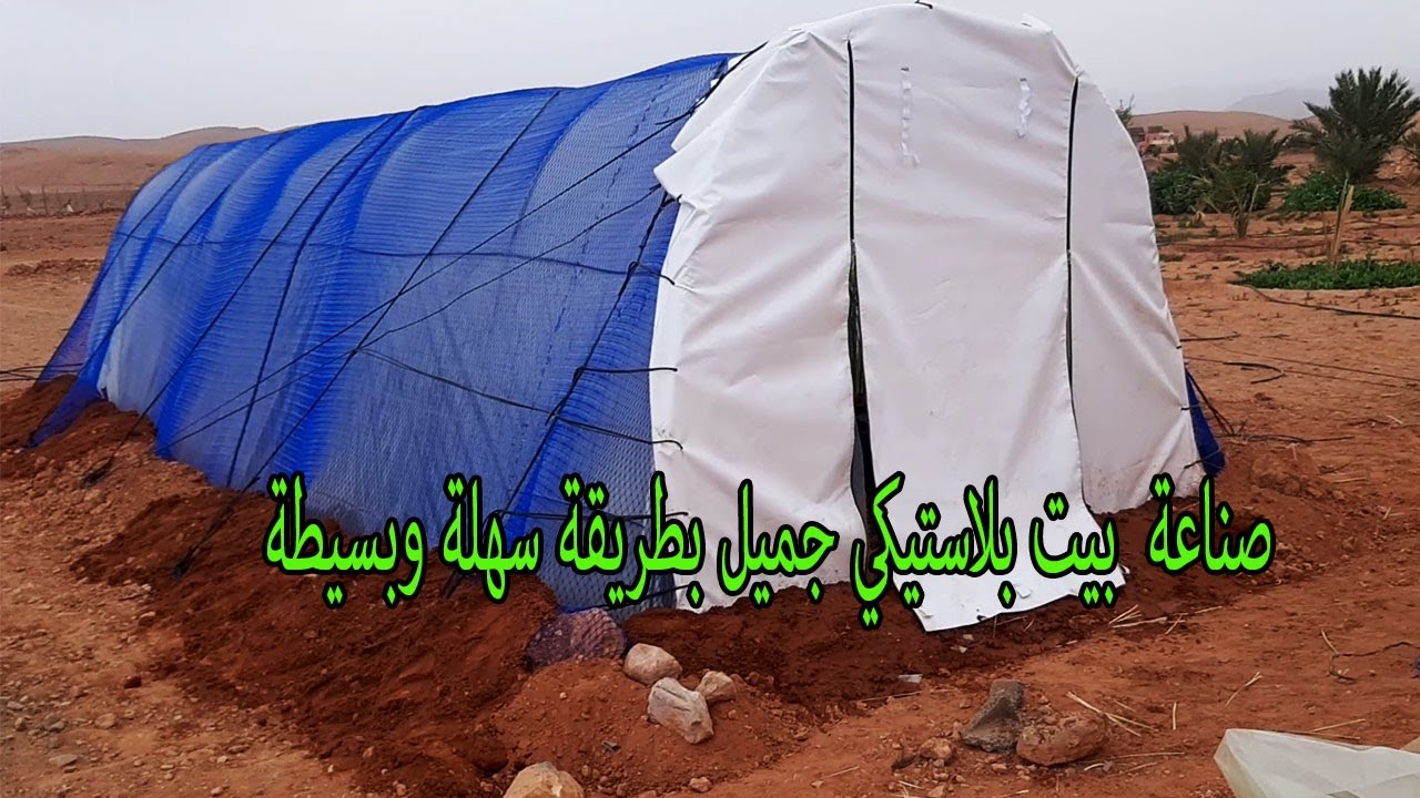 الواحة الجديدة لأفانور : صناعة  بيت بلاستيكي جميل للإعتناء بفسائل المجهول بطريقة سهلة وبسيطة