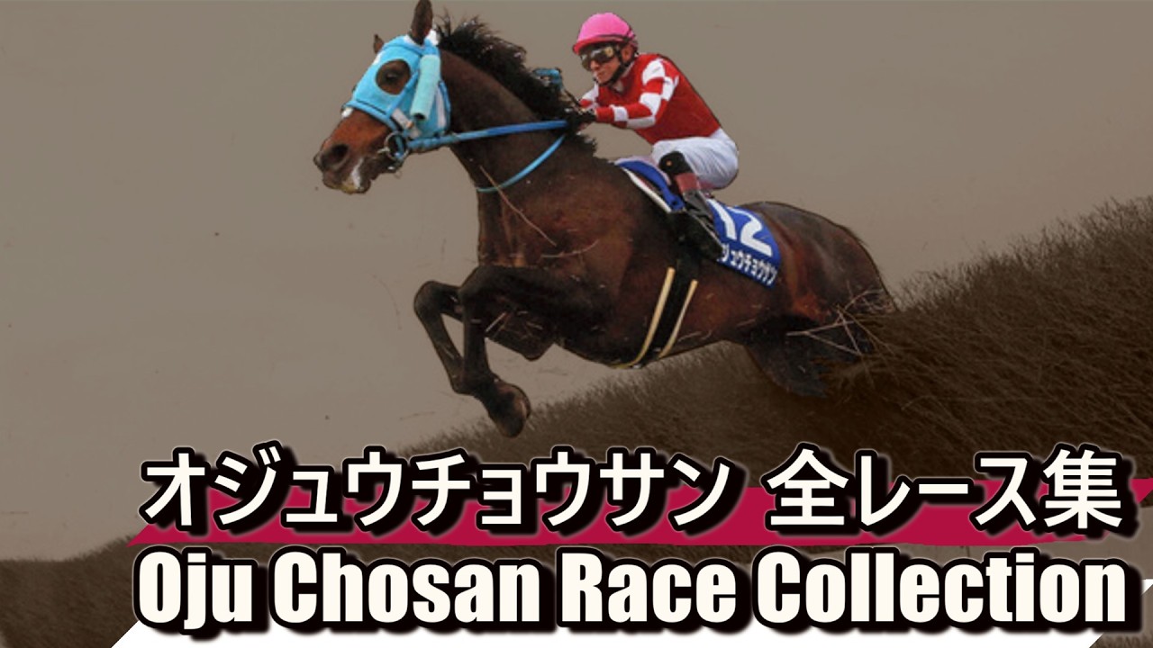 【データ付き】オジュウチョウサン 全レース集 Oju Chosan Race Collection 超えていく、王者。