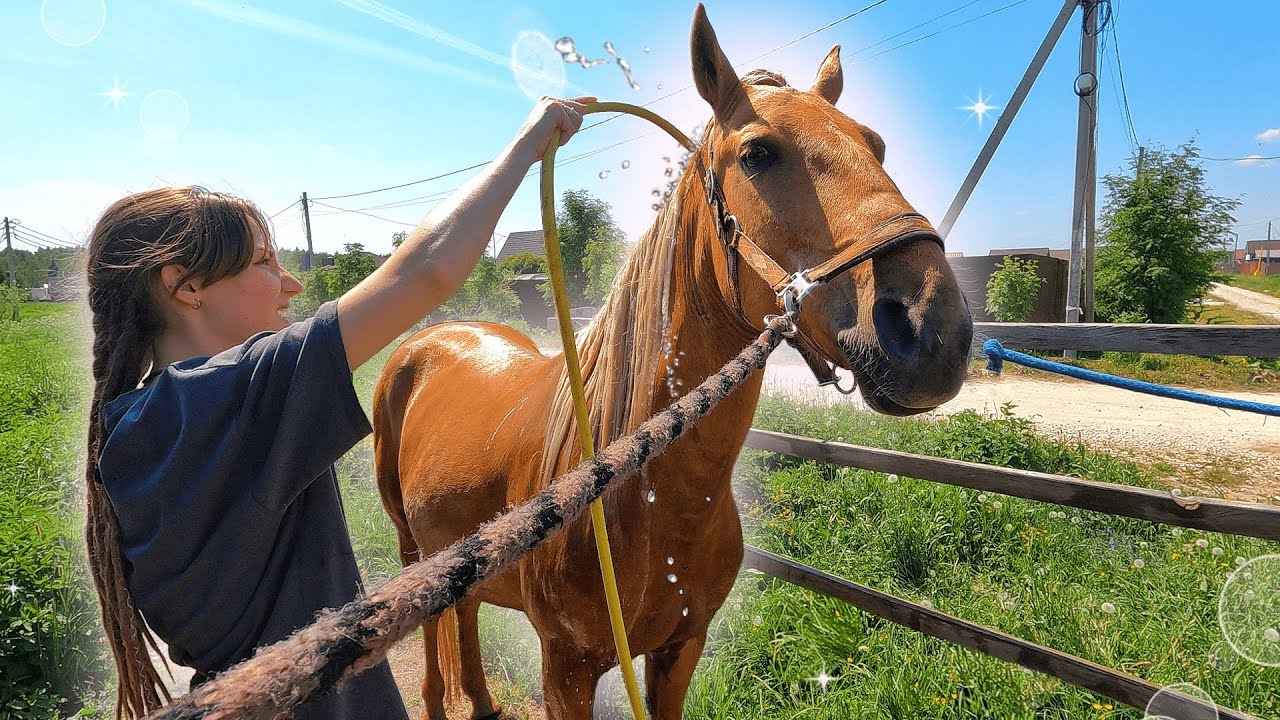 Будни со своей лошадью | Сон-час в табуне, моем коня и работаем на корде!