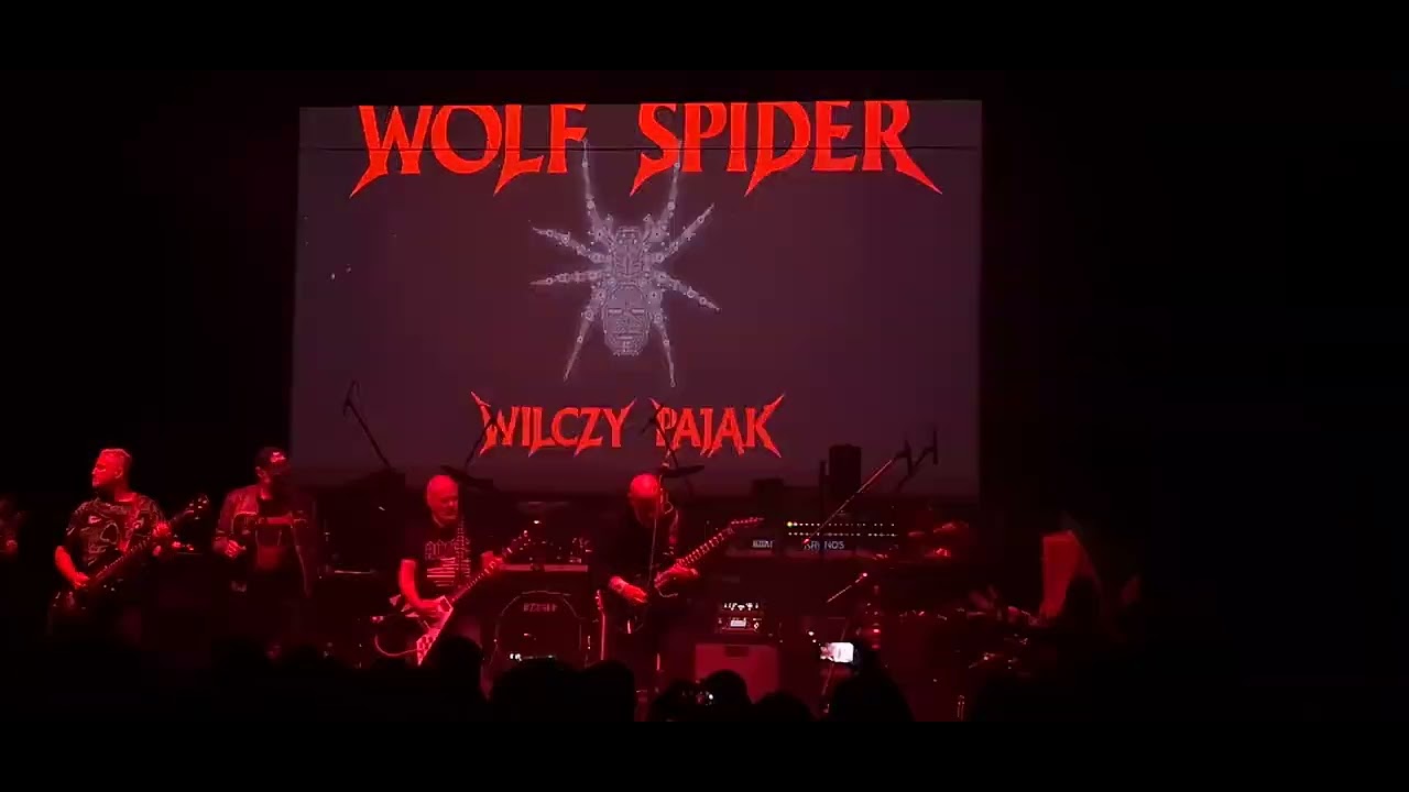 Wolf Spider & friends - Black 'N' Whites
