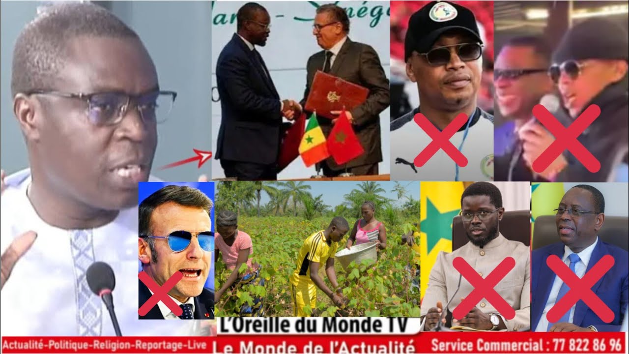 🛑 Moustapha diop : li pm Ousmane sonko wax moy deugue Sénégal maneuna raw maroc thi mbay