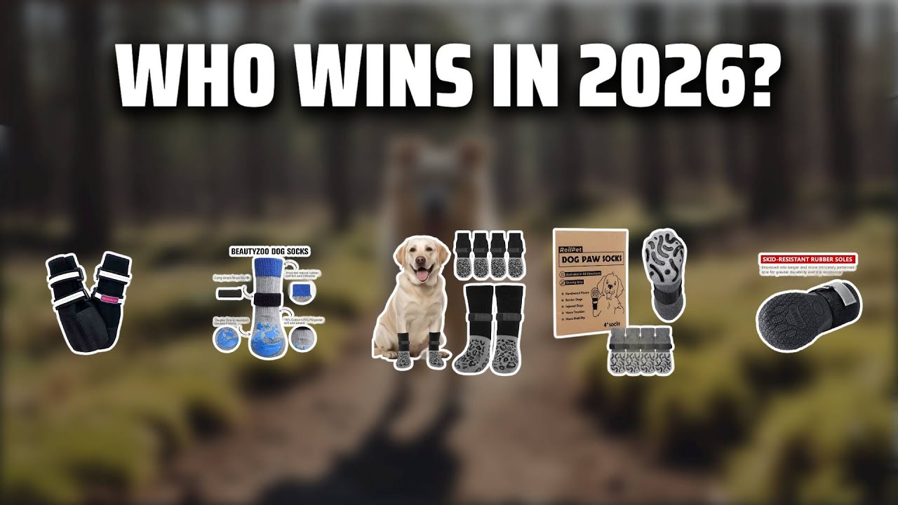 The Top 5 Best Outdoor Dog Socks in 2026 - Must Watch Before Buying!