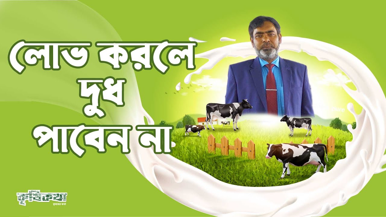 কেন গাভীর দুধ বন্ধ করতে বললেন কৃষিবিদ ড. মোঃ সফিকুর রহমান শশী । The Hidden Key to Dairy Profits