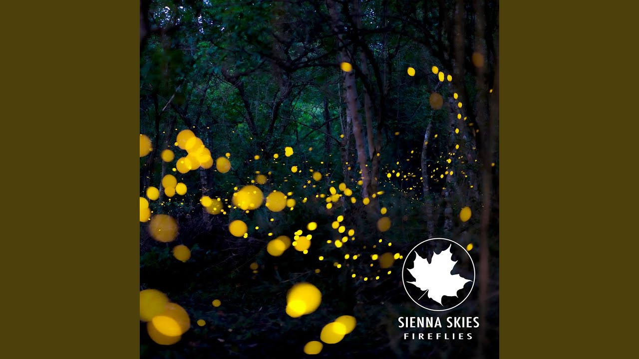 Fireflies