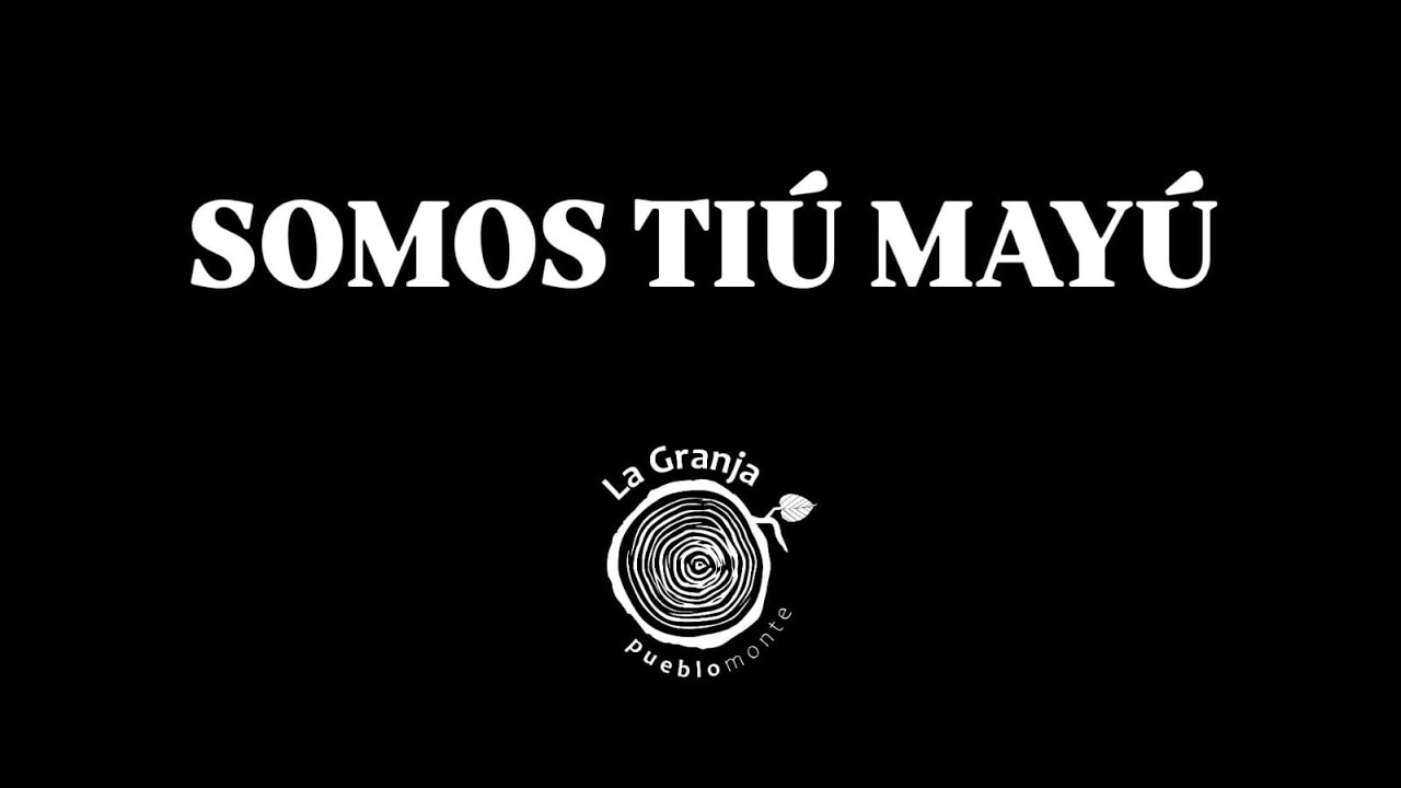 SOMOS TIU MAYU - Retratos Tricota Cultural 2026