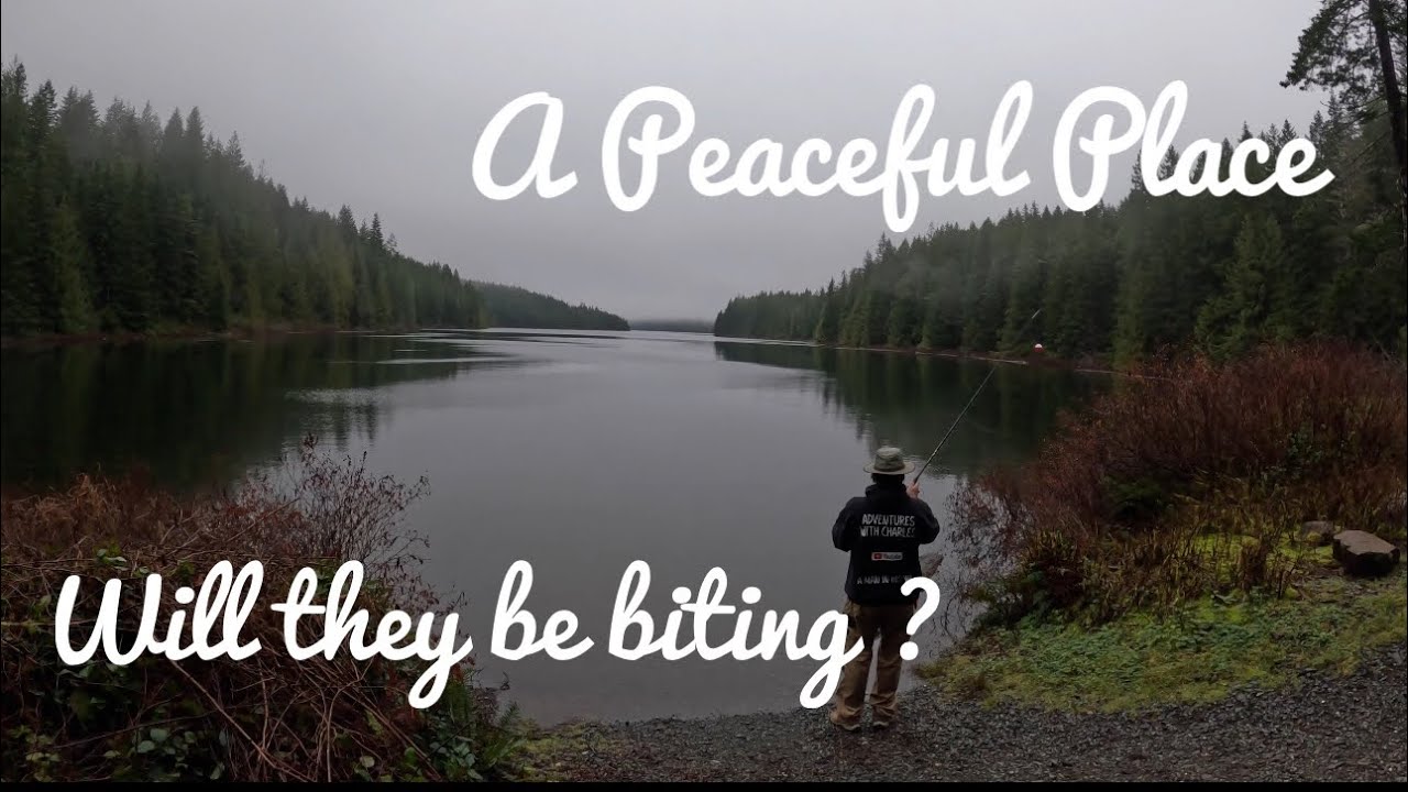 Solo Vanlife - Did I Catch Anything ?