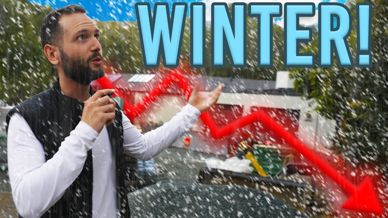 Winter = BANKRUPT (Not Anymore)