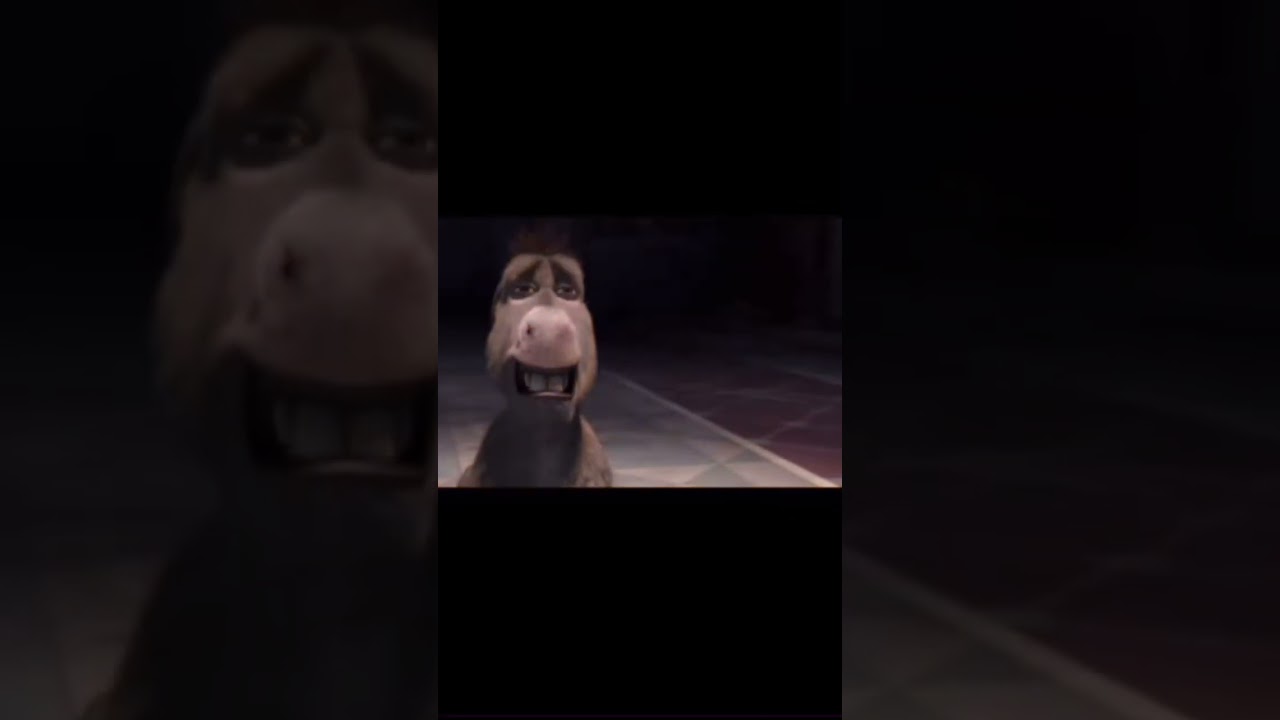Donkey got that light skin stare #meme #shorts