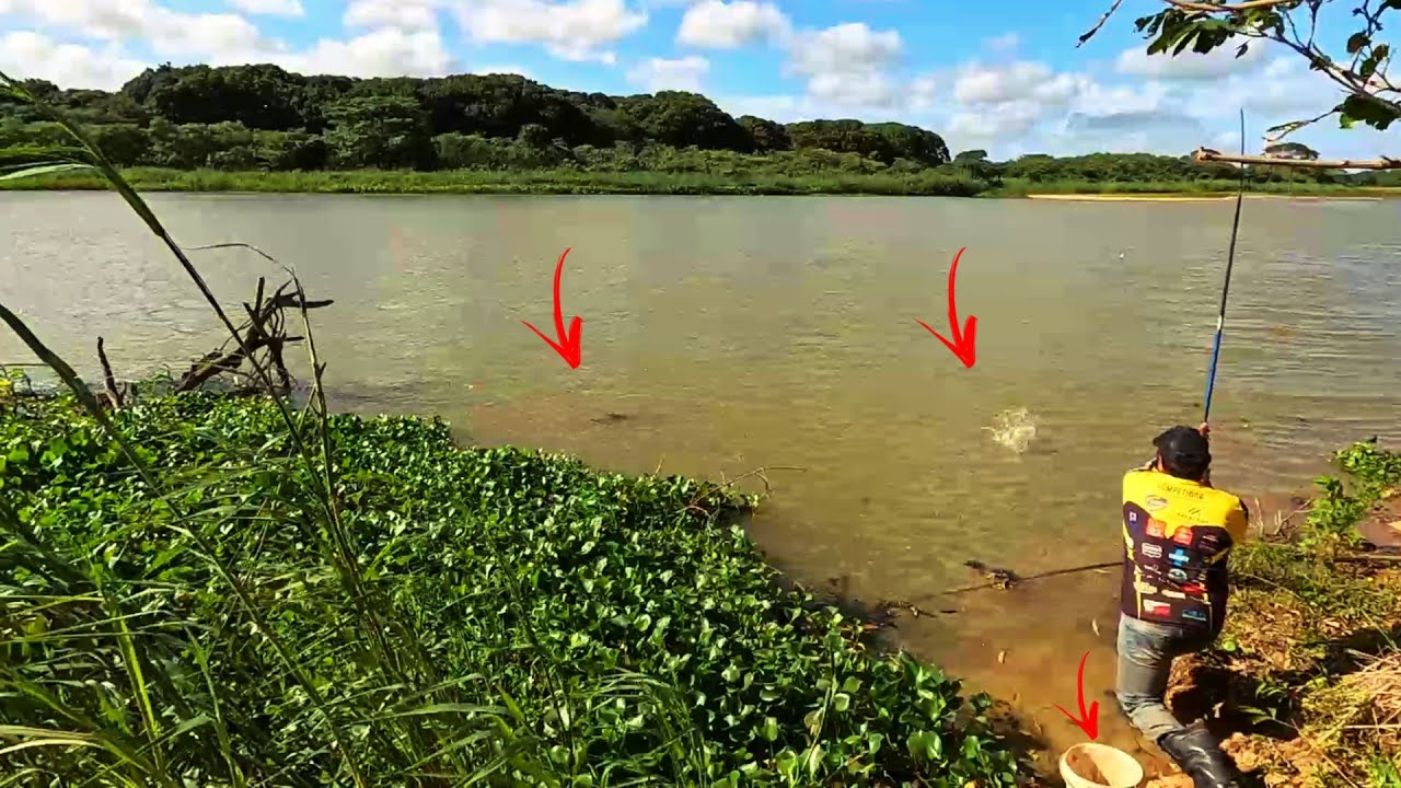 RIO PARAIBA SEMPRE ME SURPREENDE com CAPTURAS INESPERADA. Pesca de Barranco, o rio nunca decepciona