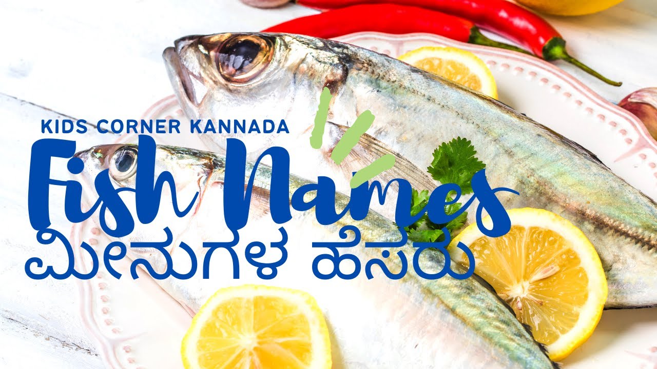 Fish Names in English | Fish Names in Kannada