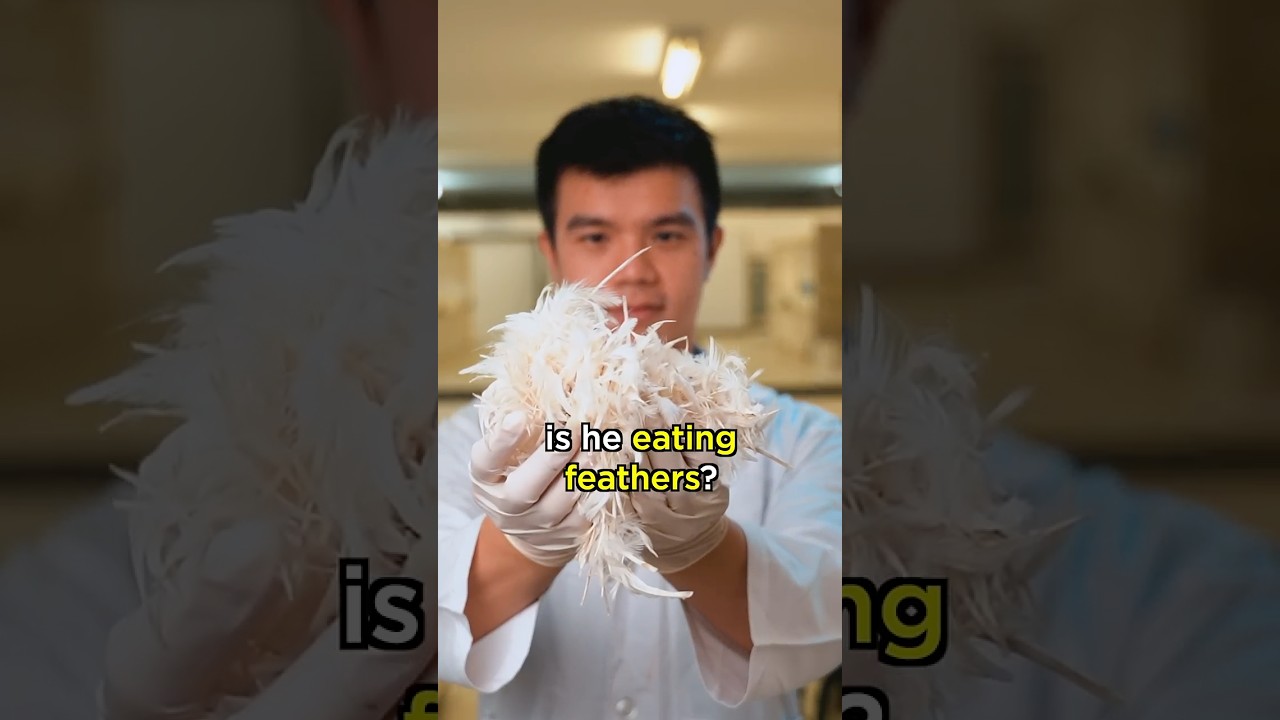 The Man Who Eats Chicken Feather...