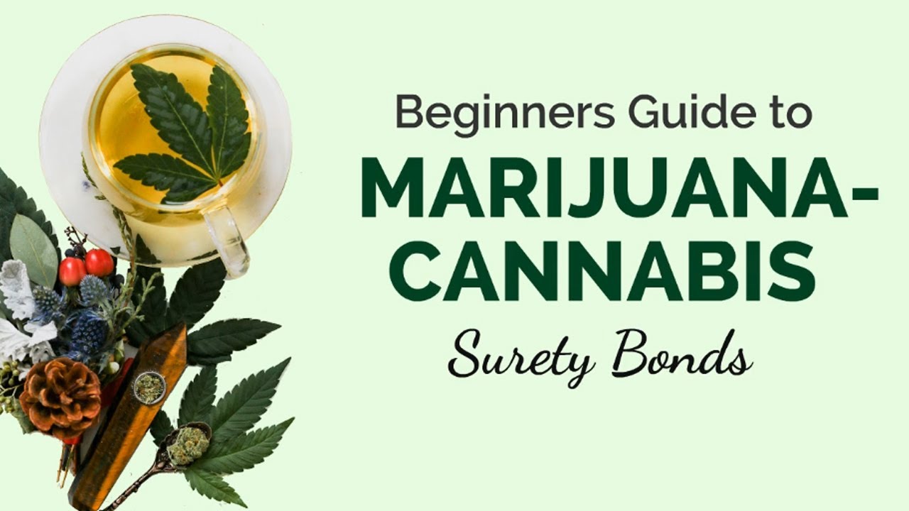 Marijuana/Cannabis Surety Bond as Part of the Licensing Requirements