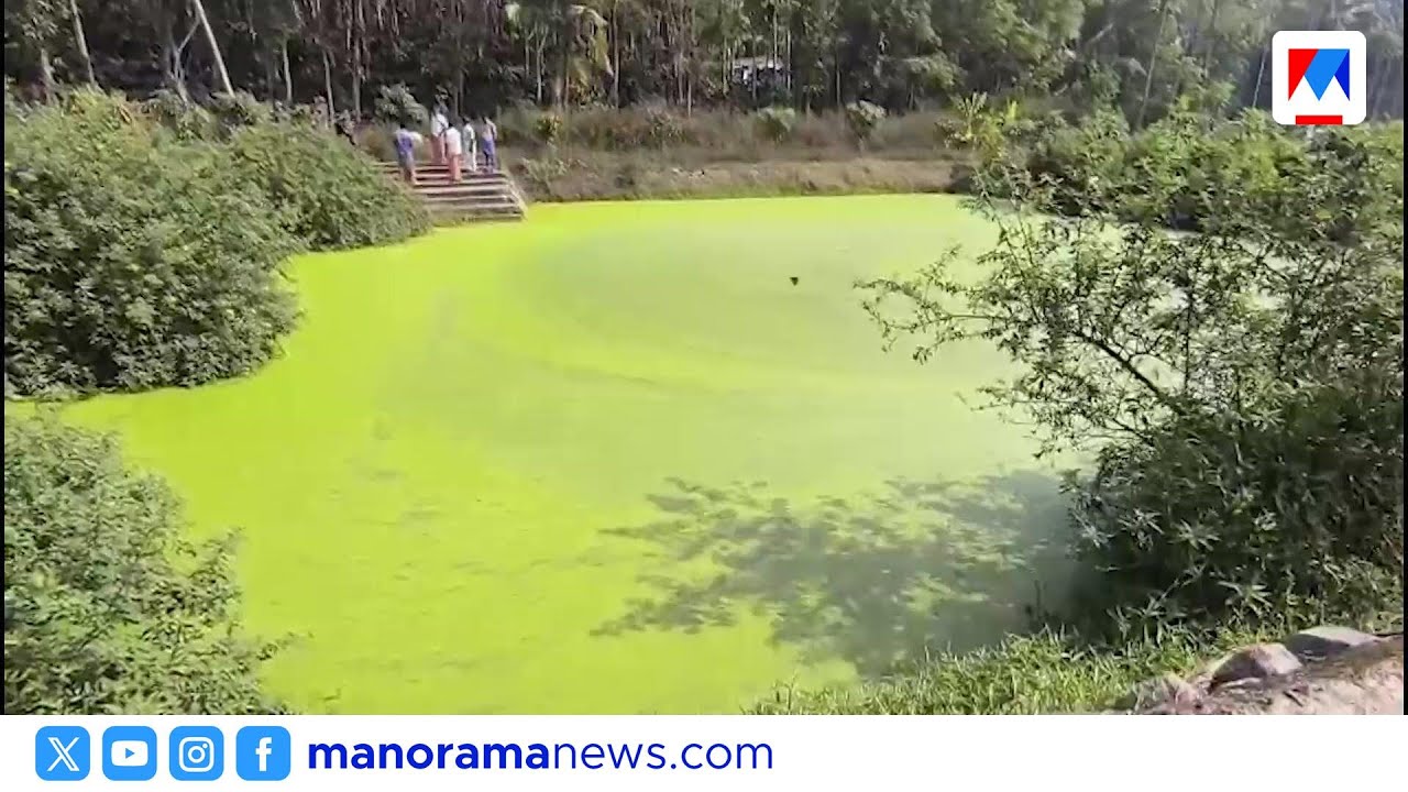 നൂൽപ്പുഴയിൽ കുളത്തിന്‍റെ നവീകരണം പാതിവഴിയിൽ; ദുരിതത്തിലായി കർഷകരും നാട്ടുകാരും | Wayanad