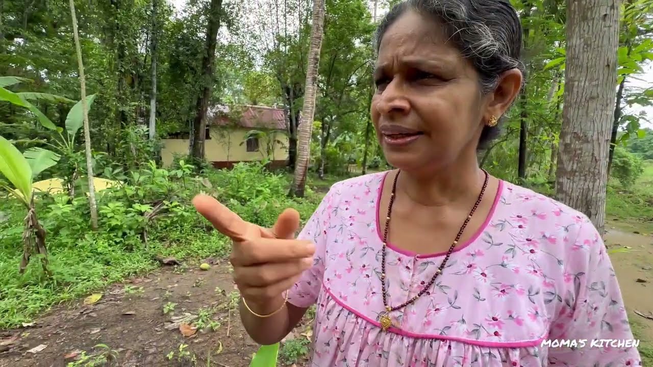 മഴ🌧️☔🌧️☔ ഞങ്ങളുടെ പറമ്പിൽ വരുത്തി വച്ച ചില ദുരിതങ്ങൾ കണ്ടോ 😌😌😌