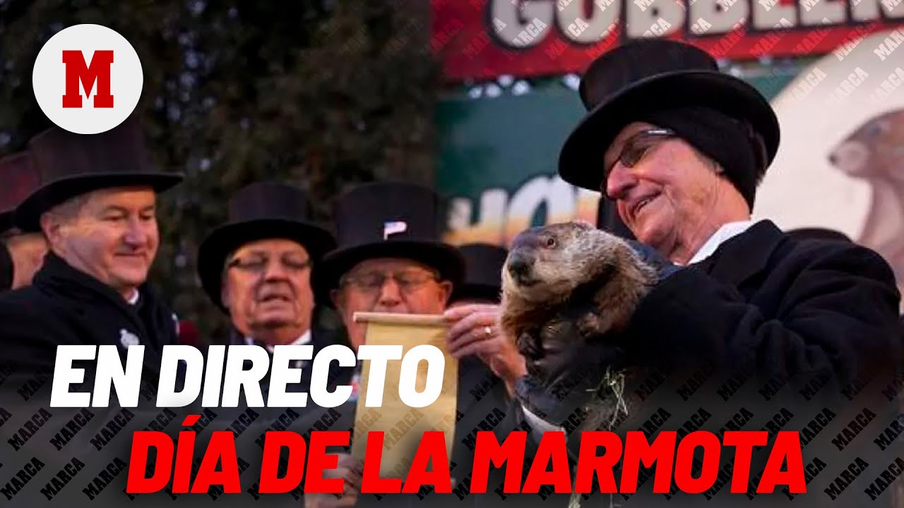 EN DIRECTO Día de la marmota en EE.UU.