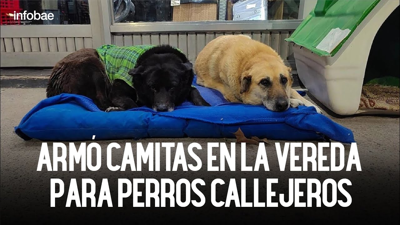 Camas en la vereda: la historia de Vanesa y su lucha por los perros callejeros en San Vicente