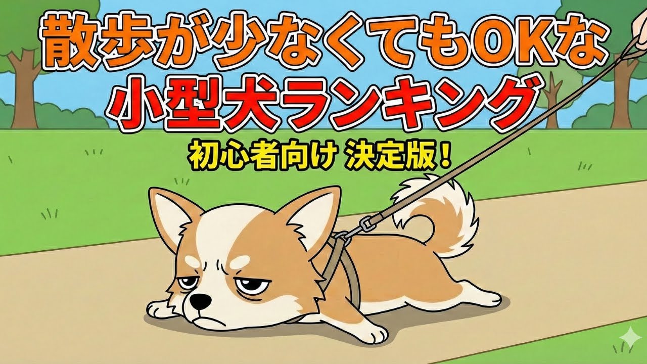 【衝撃】散歩しすぎはNGな犬も？散歩が少なめでもOKな小型犬ランキング
