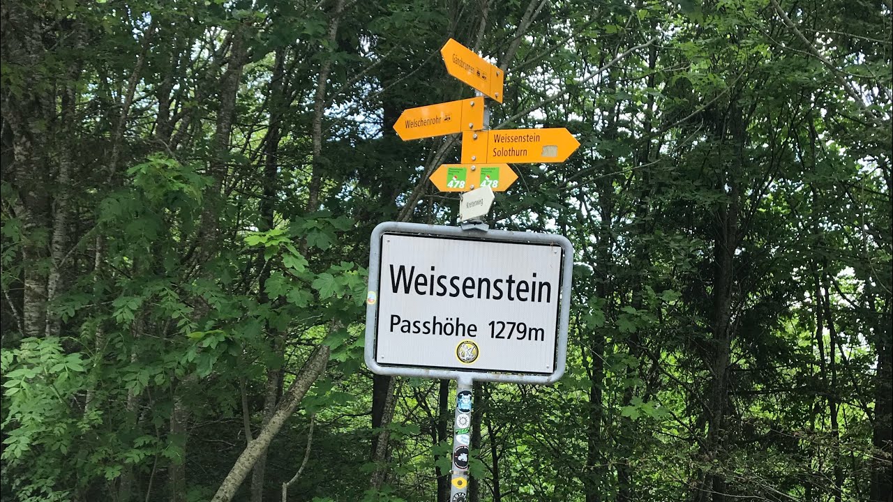 The ride where I was ran over.