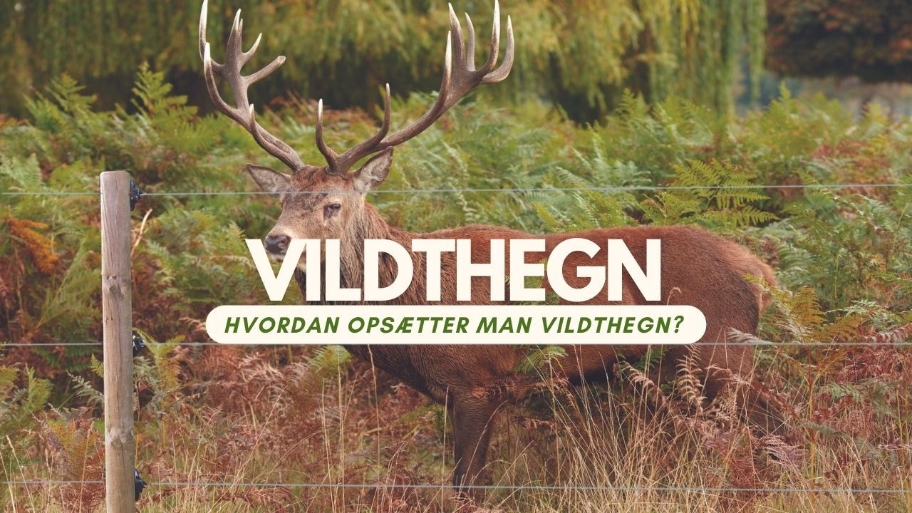 Hvordan opsætter du et Vildthegn / nethegn | Poda Hegn