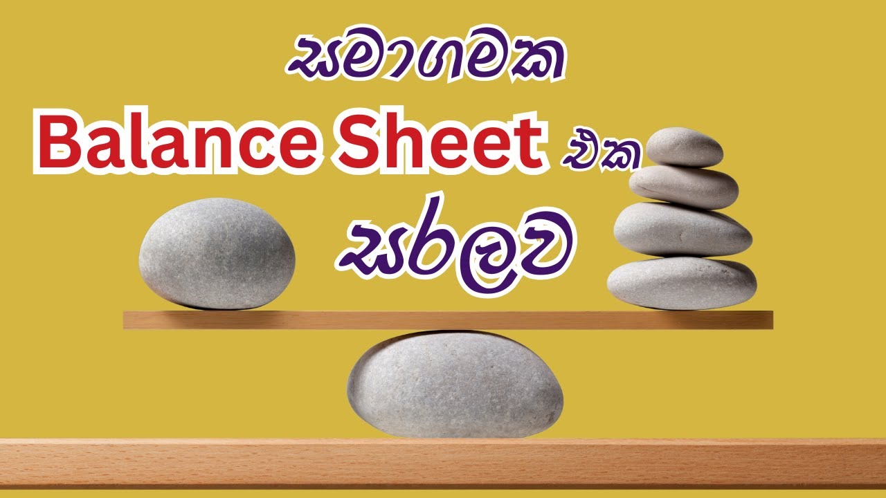 20. How to read balance sheet sinhala | statement of financial position