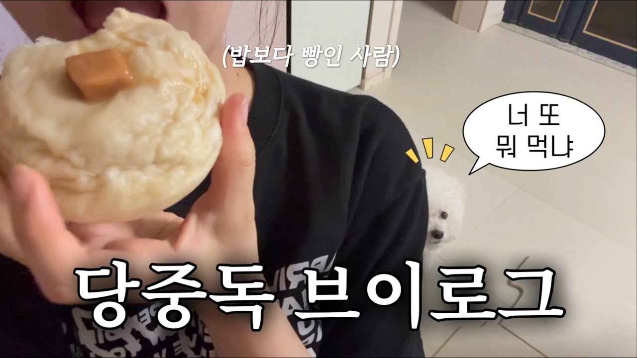 [먹방 브이로그 #3] 365일 당 떨어지는 사람의 디저트 중독 브이로그 | 디저트 브이로그 | 당중독 | 먹방