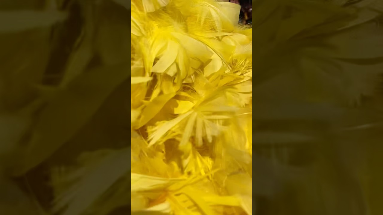What is it like to hug Big Bird? 💛 #sesameplace #sesamestreet #autismacceptance #specialinterest