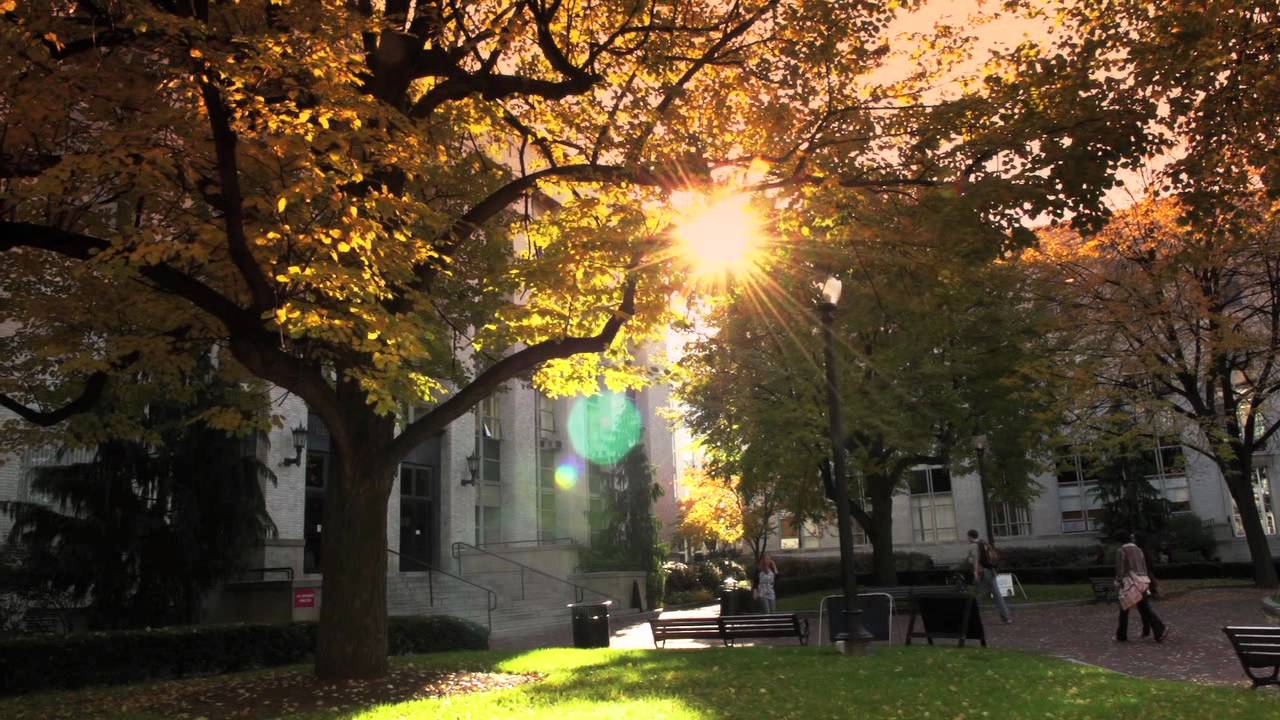 Northeastern University in the Fall