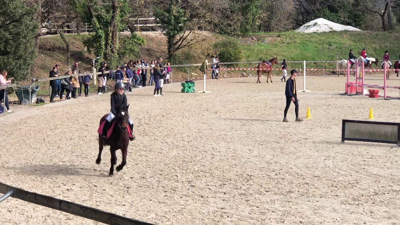 Concours hippique Grasse CSO 60cm 1,18mn février 2020