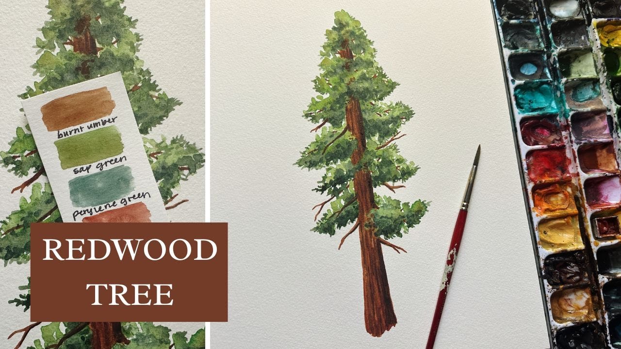 WATERCOLOR Redwood Tree TUTORIAL | Beginner Friendly | Step-by-Step
