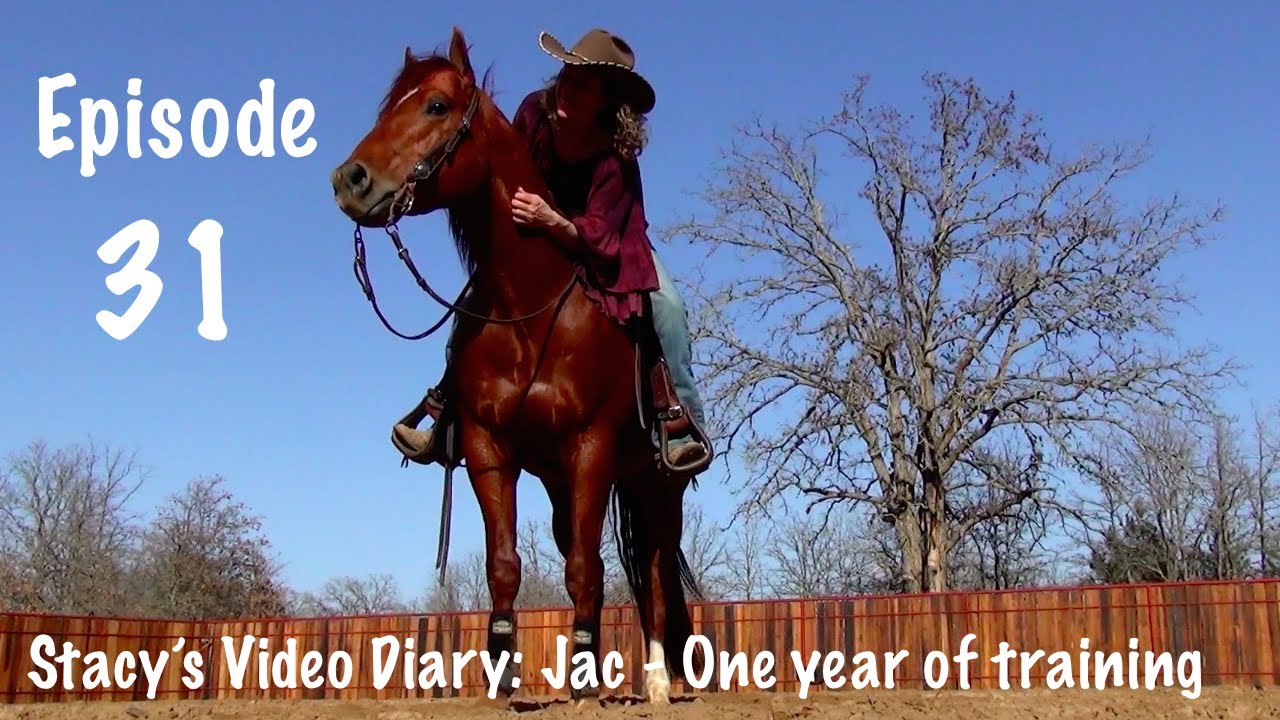 Stacy's Video Diary: Jac- Episode 31-A horse with one year of training