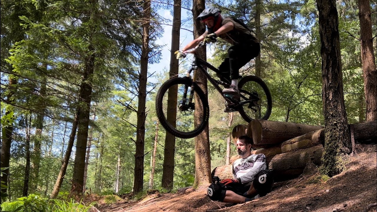 Puddletown Forest mountain bike - some of the best bits