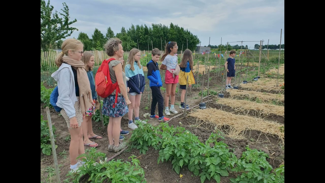 Découverte du jardin collaboratif 🌿🥒🥕🍅🌼