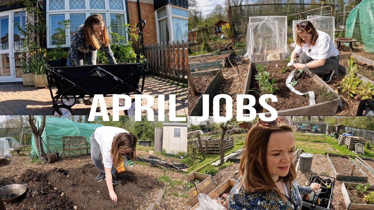 Spend A Sunny Spring Morning With Me At My Allotment | Planting Potatoes | Polytunnel Update