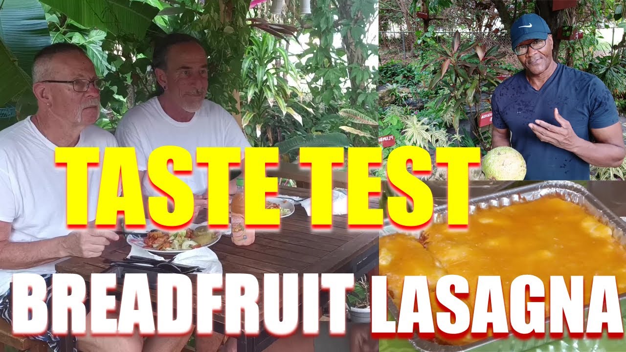Breadfruit Lasagna --A Healthier Alternative For Nutrition and Taste:?