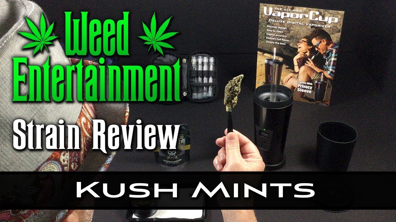 Kush Mints - Indica hybrid - by Insane - Strain Review - from Dr. Greenthumb's, Sylmar Ca