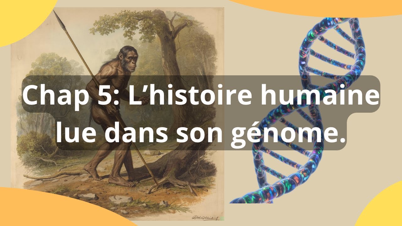 chap 5  :L’histoire humaine lue dans son génome.