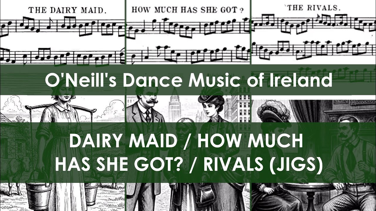 DMOI292-294 Dairy Maid / How Much Has She Got / Rivals (Jigs on Irish tenor banjo)