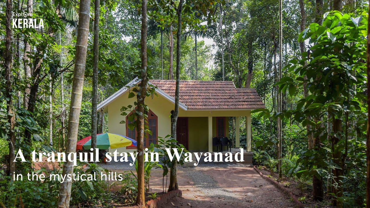 A tranquil stay in Wayanad in the mystical hills