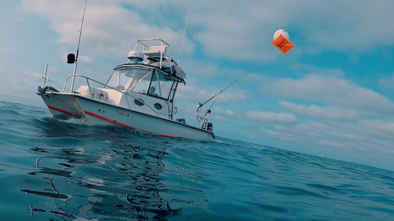 Spearfishing Tanner Bank for Yellowtail