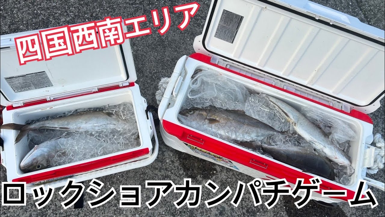 カンパチ(ネイリ)爆釣！釣りガールと灼熱夏のロックショア 24時間磯釣り