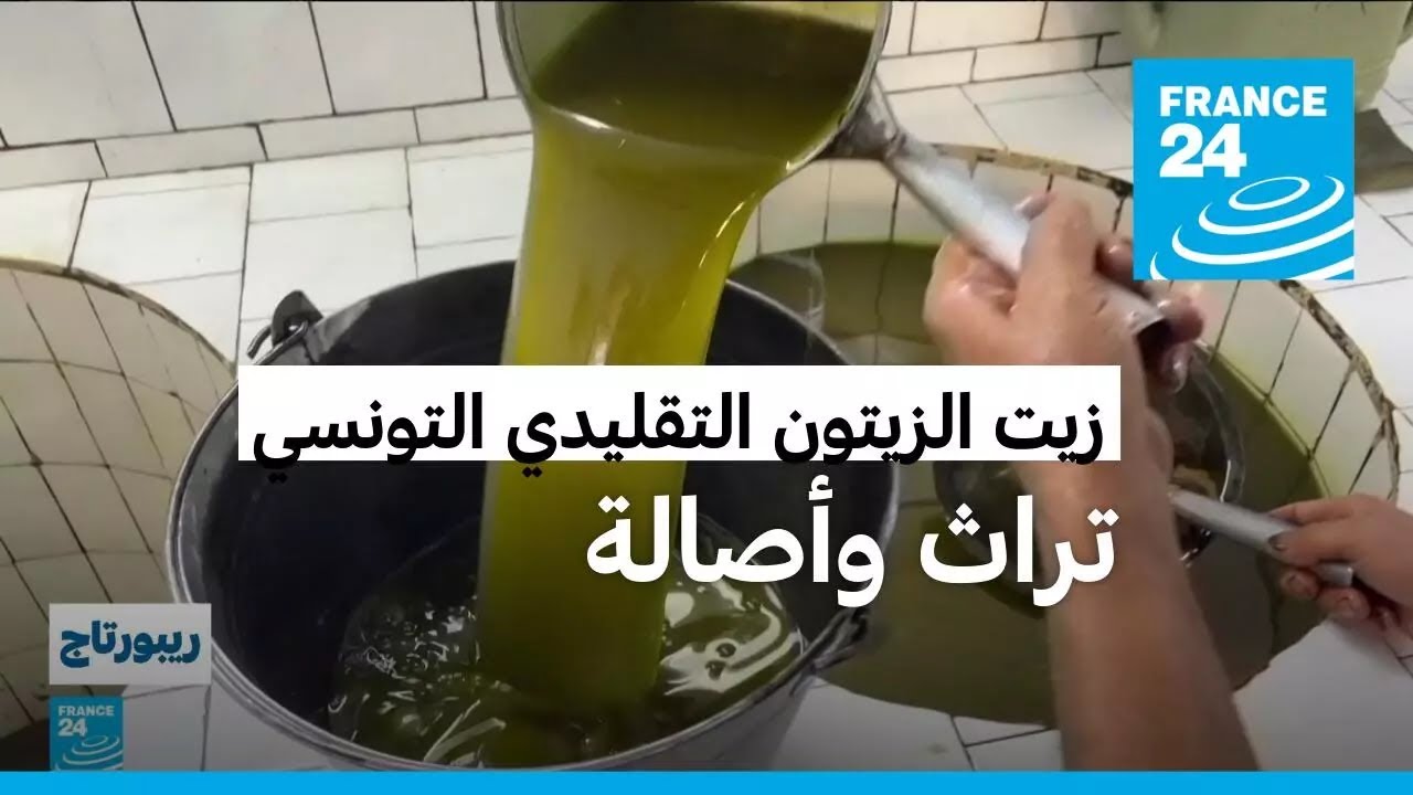 معاصر الزيتون التقليدية في تونس.. أصالة الممارسات الزراعية القديمة