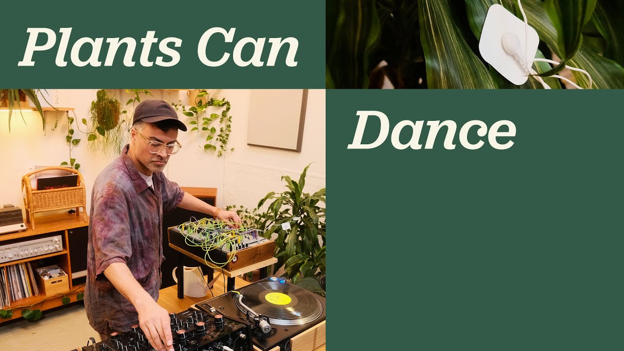 Plants Can Dance with Brian d'Souza