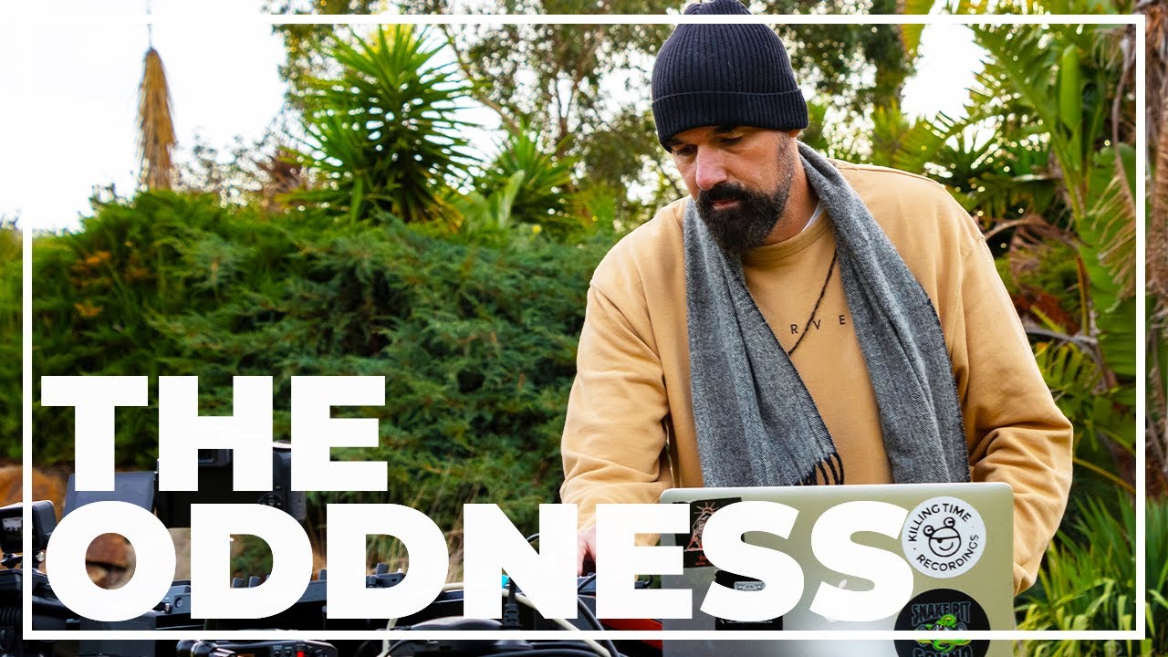 THE ODDNESS LIVE at PANORAMA GARDEN ESTATE | DEPTH. PERCEPTION [Deep Organic Electronica Downtempo]