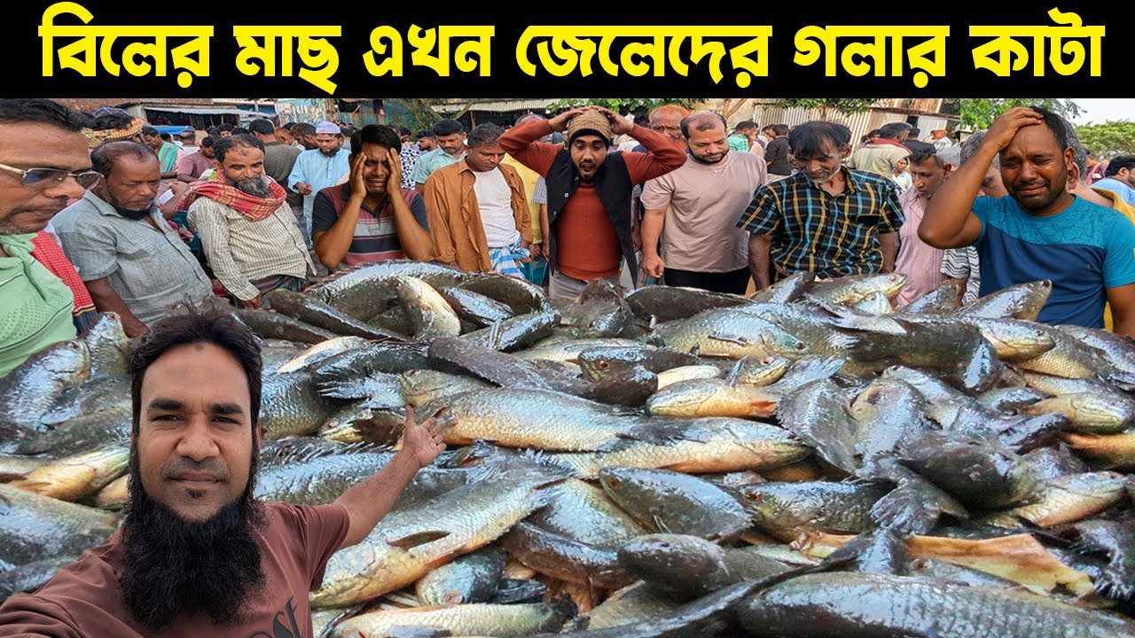 বিলের মাছ এখন জেলেদের গলার কাটা! বিক্রি করতে না পেরে কান্নাকাটি করছে | today tulsikhali fishmarket