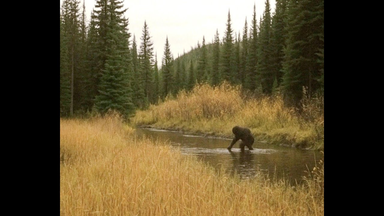 Ammonoosuc Bigfoot Caught on Camera West of Mt Washington