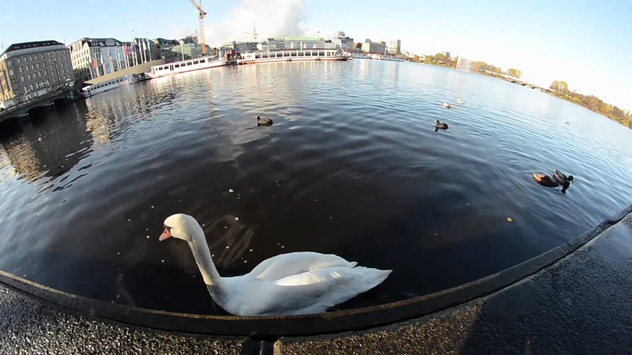 Nikon D7000 - Hands on - Movie - Hamburg