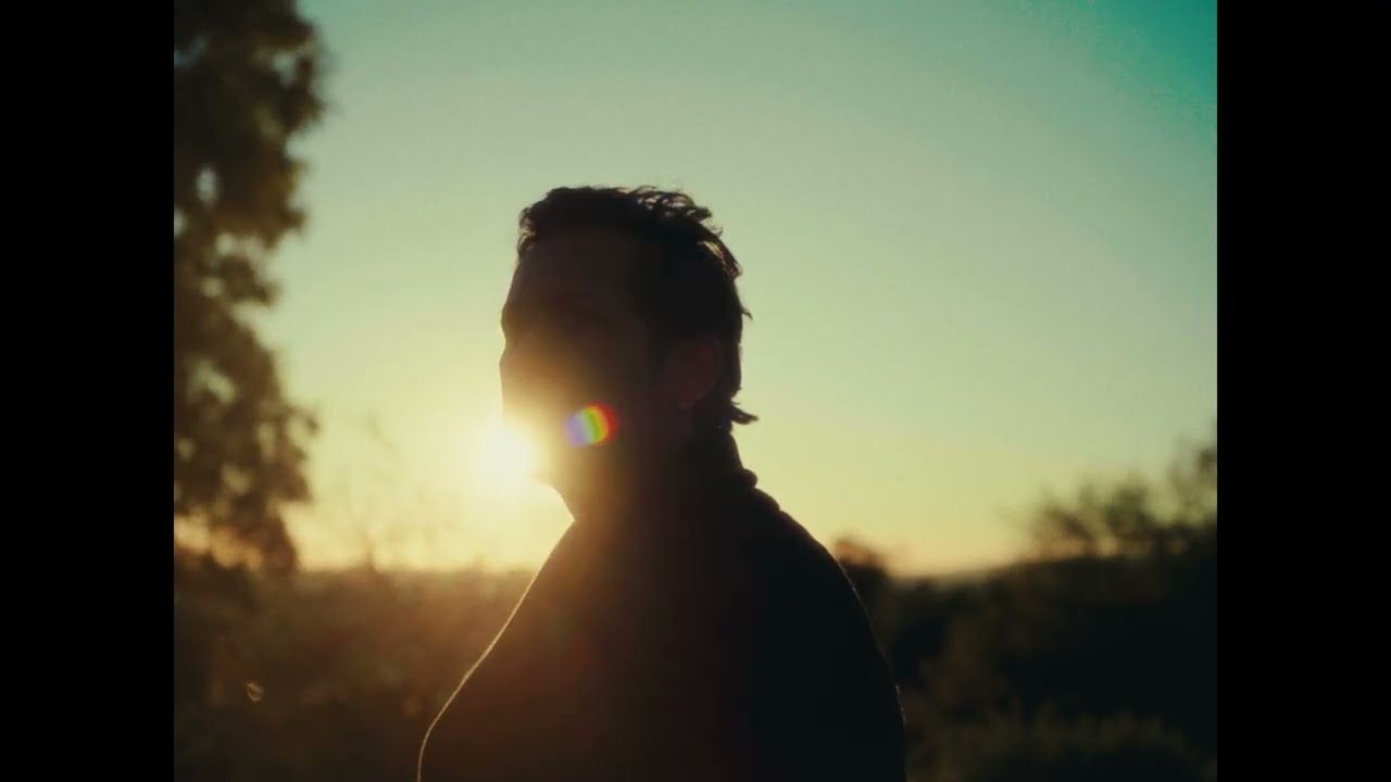 Hrishikesh Hirway - Stray Dogs feat. Iron & Wine (Official Visualizer)