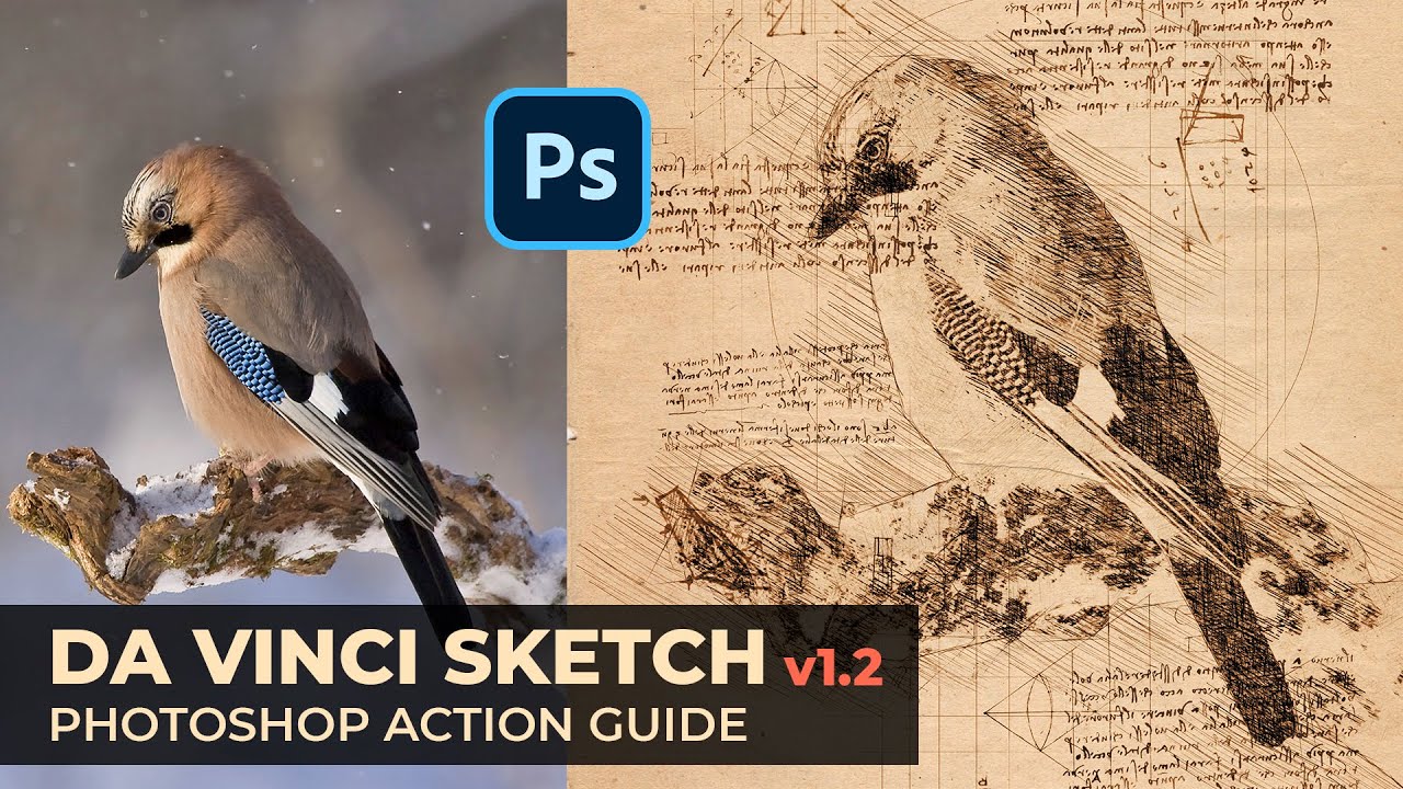 Da Vinci Sketch (v1.2) Photoshop Action Guide