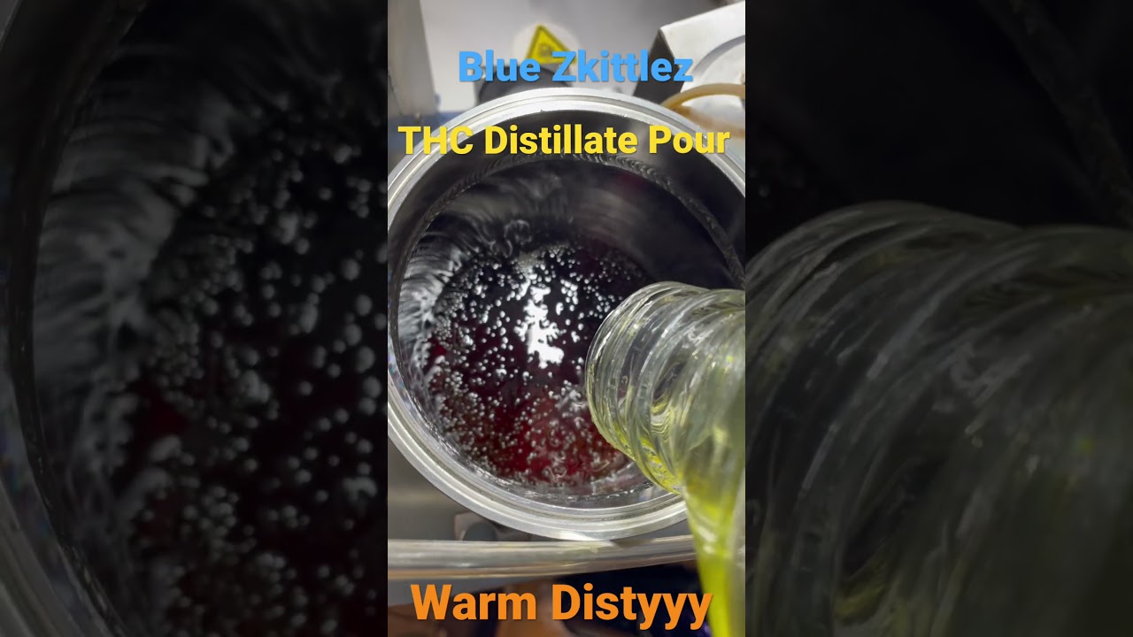 Over 1,000 Gram (1 Liter) Pour Of Golden Oil #420 #710 #cannabisdaily #trendingshorts #roadto1k