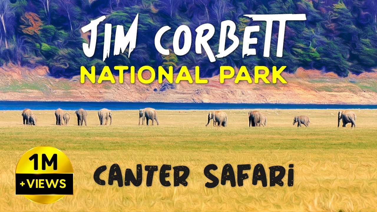 Canter Safari at Jim Corbett National Park, Dhikala 2023 - 4K Video Hindi | हिन्दी